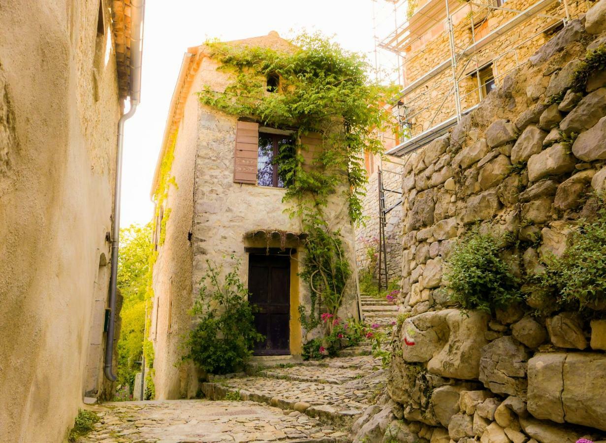 Chateau Des Gipieres Bij De Mont Ventoux 몽트브륀-레-뱅 외부 사진